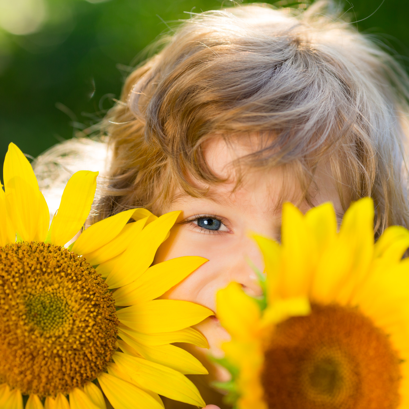 Happy child playing with sunflowers outdoors in spring park